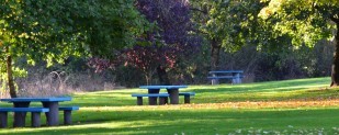 The Santiam Rest Area features a picnic area for motorists.