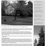 Image of the Oregon Travel Experience Heritage Newsletter "Deep Roots"