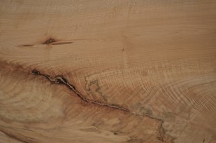 Detail of the Oregon Heritage Tree Peter McDonald Memorial bench