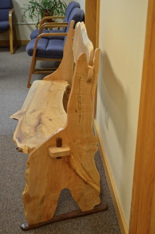 Image of the Oregon Heritage Tree Peter McDonald memorial bench from the side