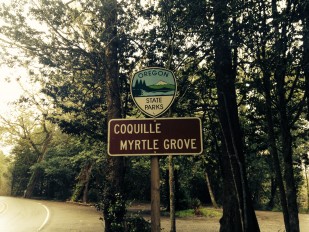Image of the Coquille Myrtle Grove State Park where the 2015 Coquille Myrtlewood Heritage Trees are located.