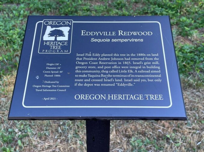 Eddyville Redwood Oregon Travel Information Council