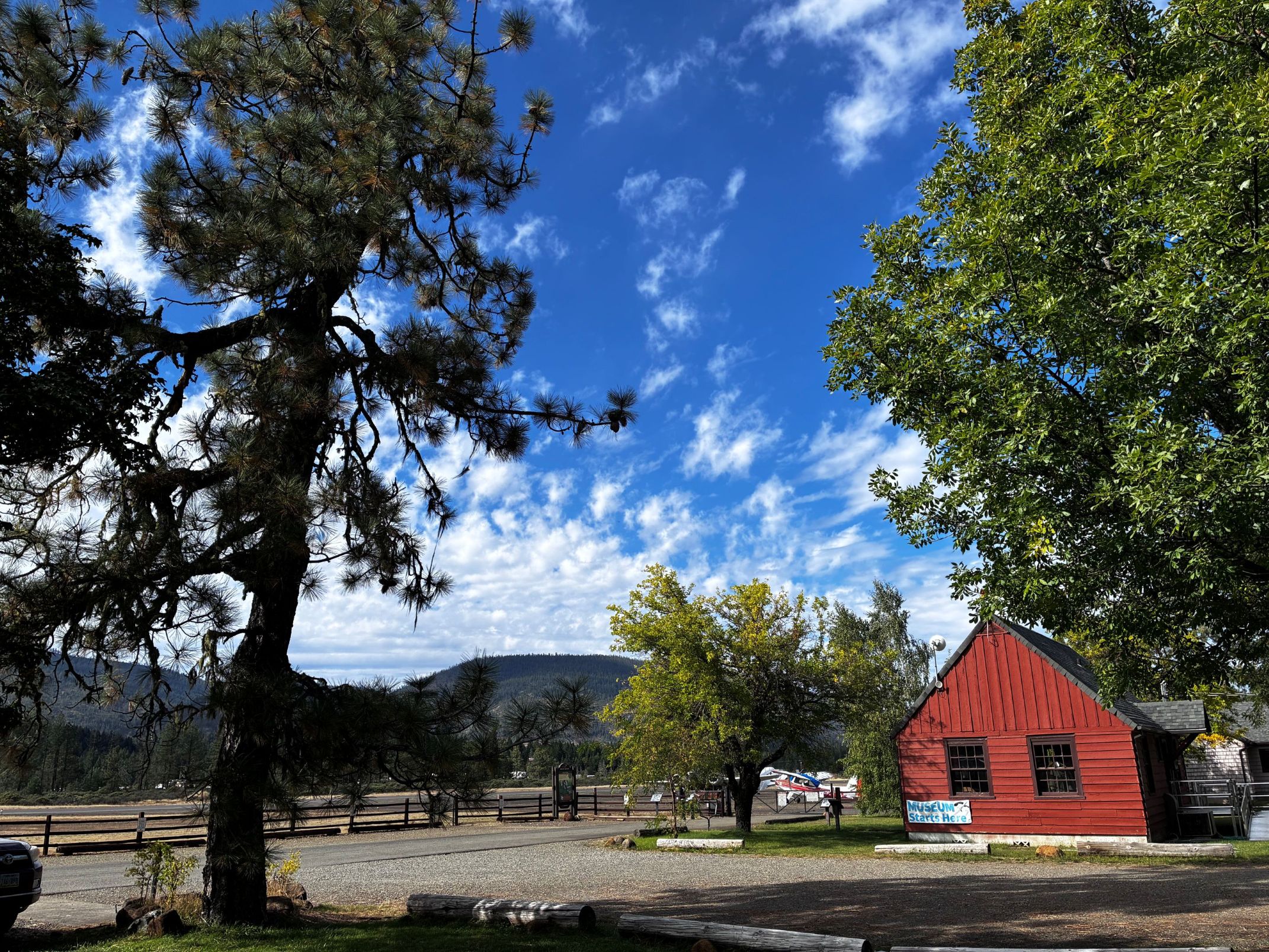 Tree and red building against blue sky background.