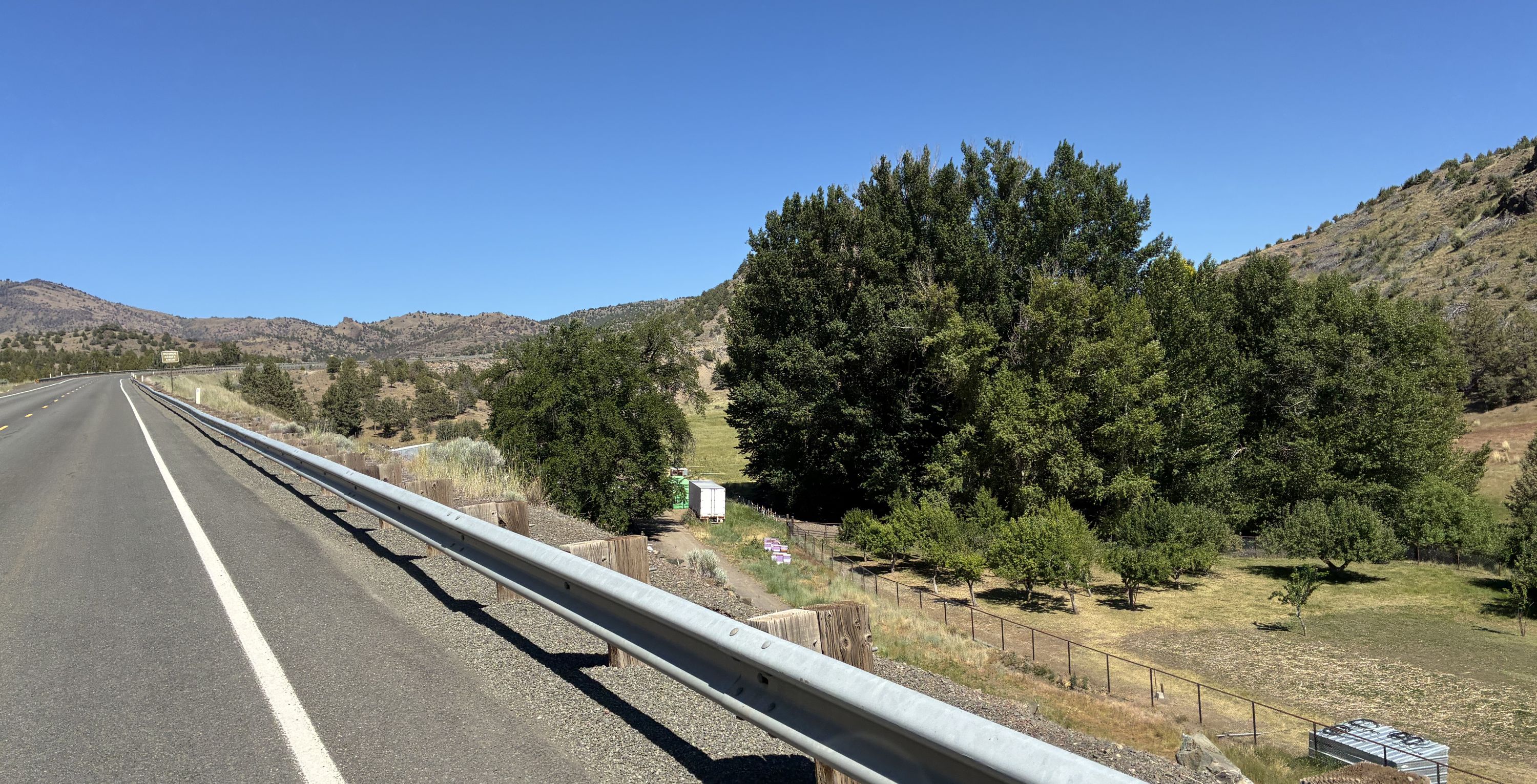 Highway view overlooking tree. 